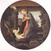 Sandro Botticelli Madonna in Adoration of the Christ Child china oil painting artist